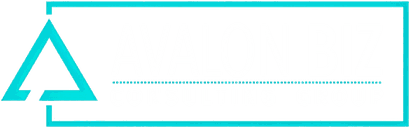 AvalonBiz Consulting Group